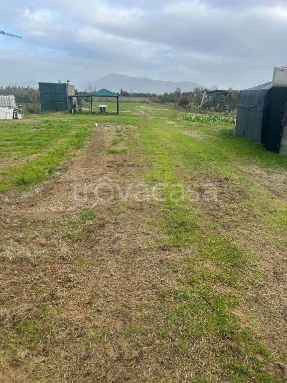 terreno agricolo in vendita a Prato in zona Castelnuovo