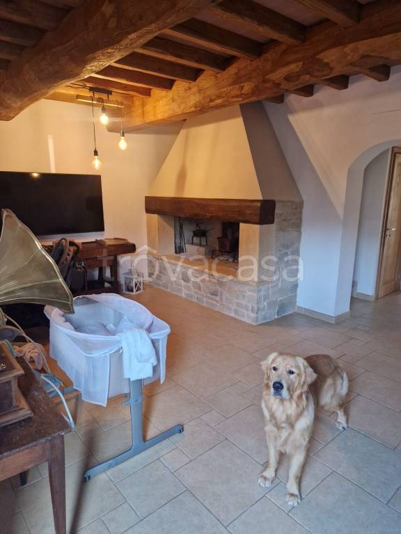 casa indipendente in vendita a Prato in zona Vergaio