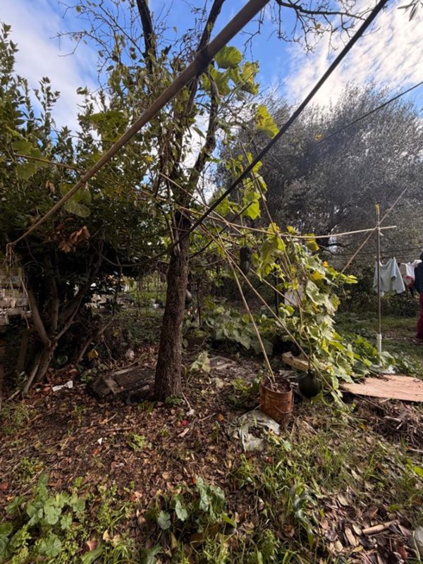 appartamento in vendita a Prato