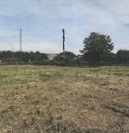 terreno agricolo in vendita a Prato