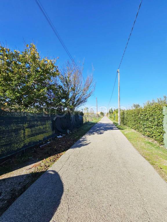 terreno agricolo in vendita a Prato in zona Castelnuovo