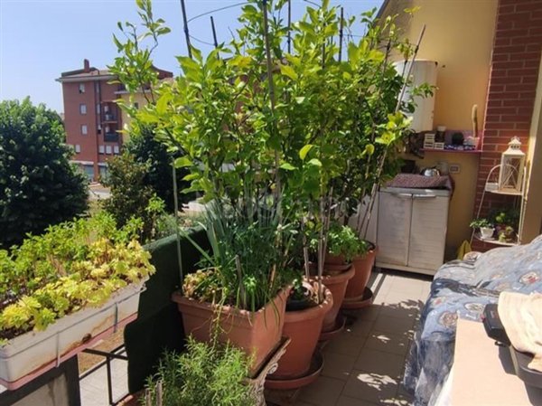 appartamento in vendita a Prato