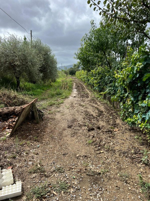 mansarda in vendita a Prato in zona Iolo