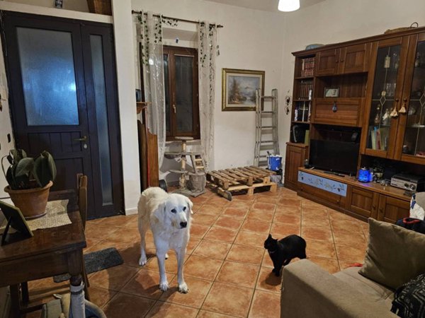 casa indipendente in vendita a Prato in zona Santa Lucia