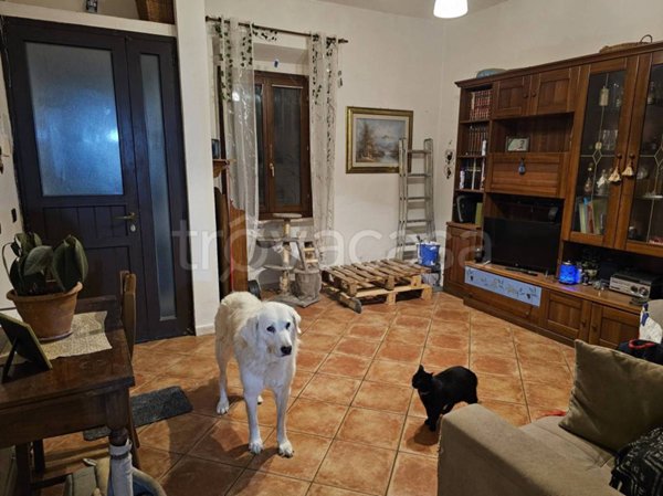 casa indipendente in vendita a Prato in zona Santa Lucia