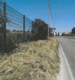 terreno agricolo in vendita a Prato