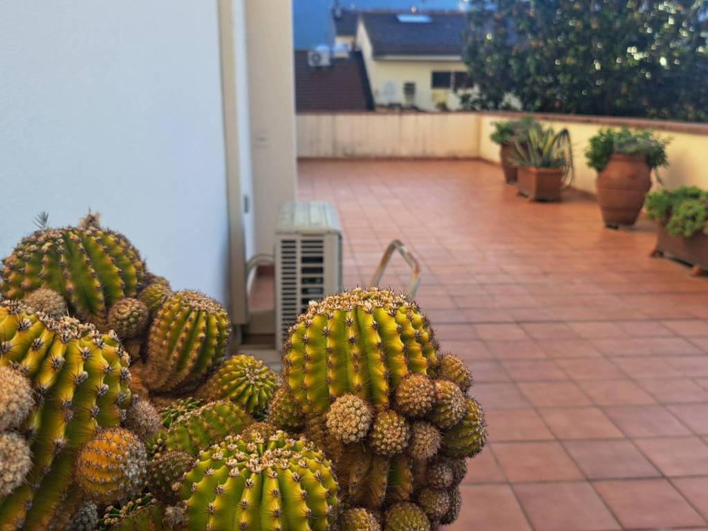 appartamento in vendita a Prato