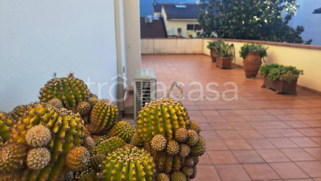 appartamento in vendita a Prato