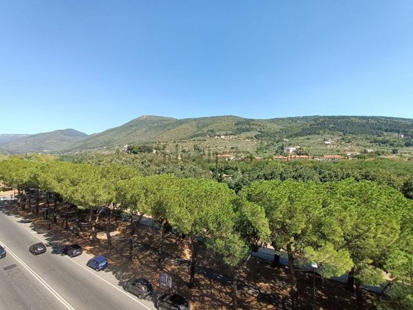 appartamento in vendita a Prato