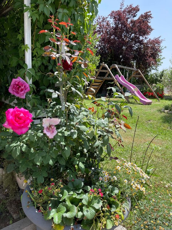 casa indipendente in vendita a Prato