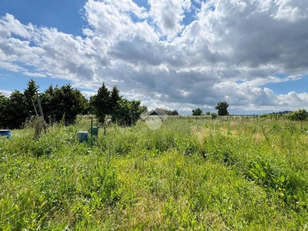 terreno agricolo in vendita a Prato in zona Iolo