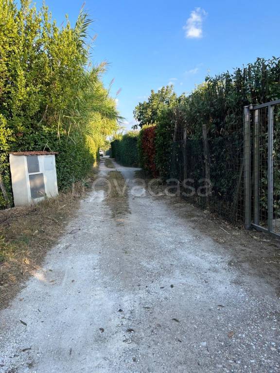 terreno agricolo in vendita a Prato in zona Galciana