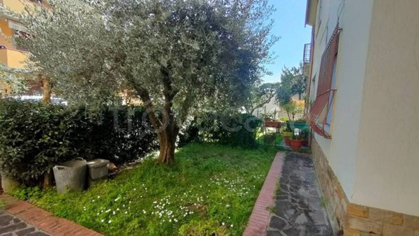 casa indipendente in vendita a Prato in zona Castelnuovo