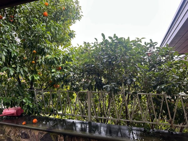 appartamento in vendita a Prato