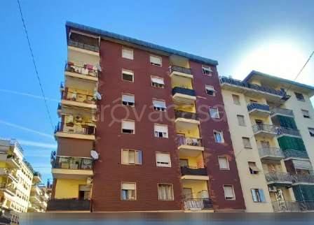 appartamento in vendita a Prato