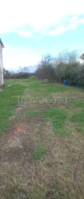 casa indipendente in vendita a Prato in zona Sant'Ippolito