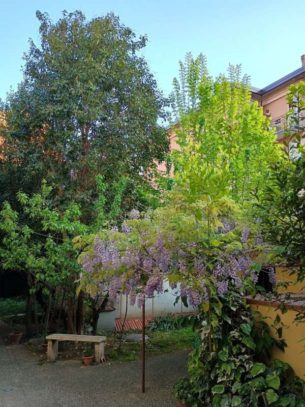 casa indipendente in vendita a Prato