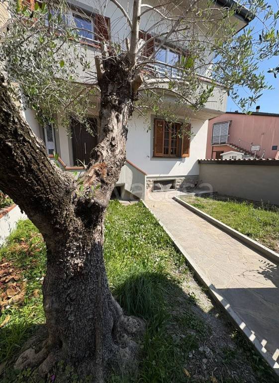 appartamento in vendita a Prato in zona Sant'Ippolito