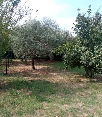 terreno agricolo in vendita a Prato in zona Galciana