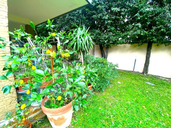 appartamento in vendita a Prato