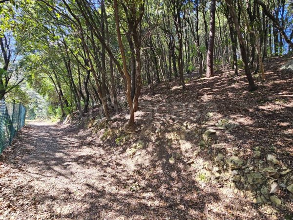 appartamento in vendita a Prato in zona Santa Lucia