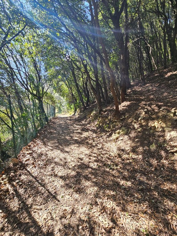 appartamento in vendita a Prato in zona Santa Lucia