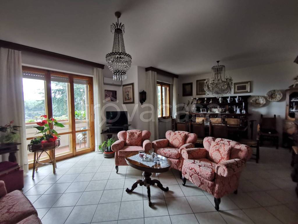 appartamento in vendita a Prato