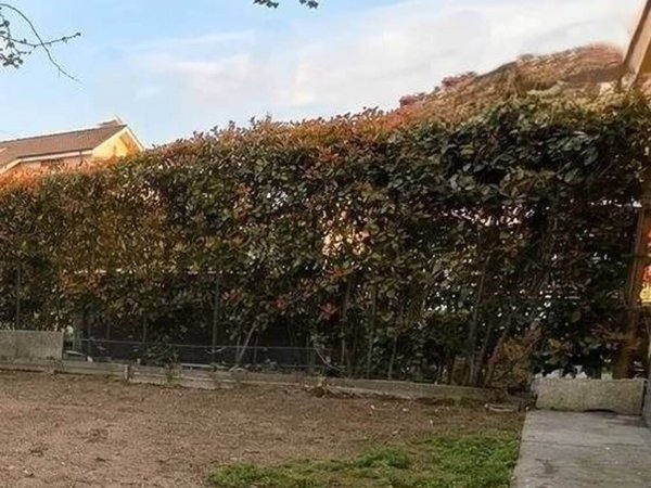 casa indipendente in vendita a Prato in zona Iolo