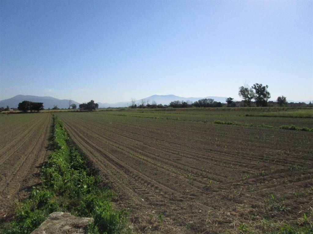 terreno agricolo in vendita a Prato in zona Castelnuovo