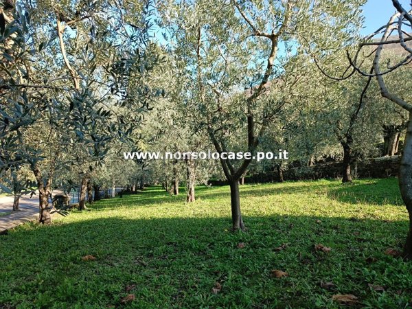 appartamento in vendita a Prato in zona Canneto
