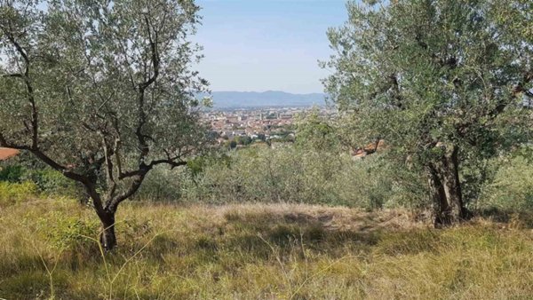 terreno agricolo in vendita a Prato