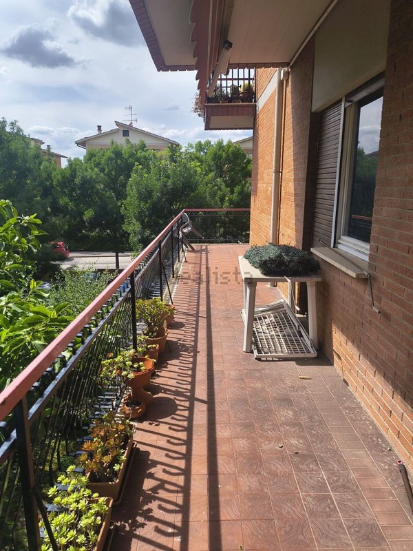 appartamento in vendita a Prato
