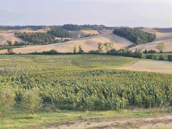 terreno agricolo in vendita a Prato in zona Castelnuovo