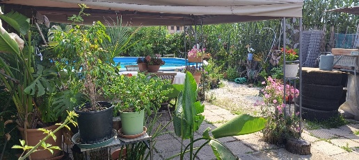 casa indipendente in vendita a Prato in zona Narnali