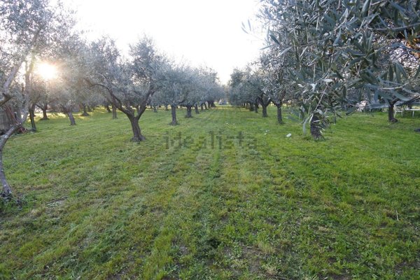 terreno in vendita a Prato in zona San Giusto