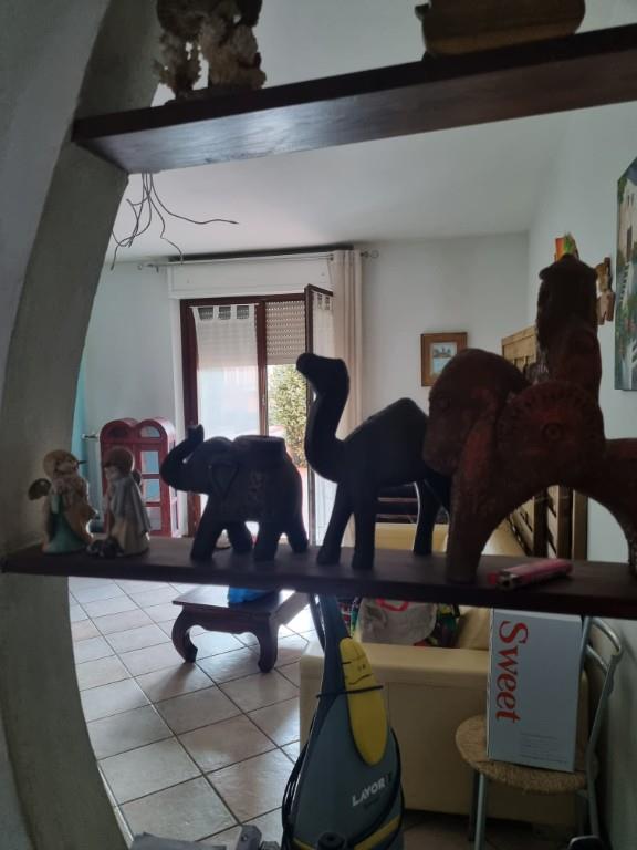 appartamento in vendita a Vaiano