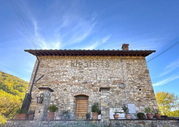 esavano in vendita a Vaiano