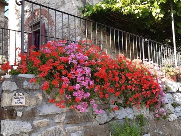 casa indipendente in vendita a Vaiano