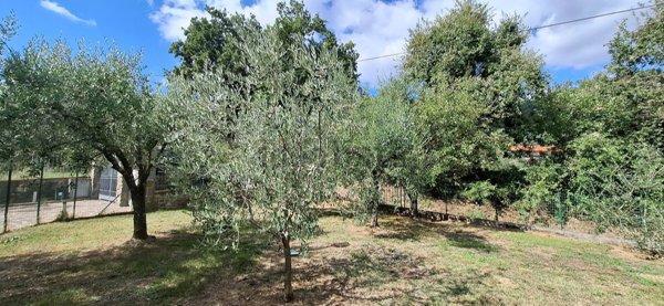 casa indipendente in vendita a Vaiano in zona Tignamica