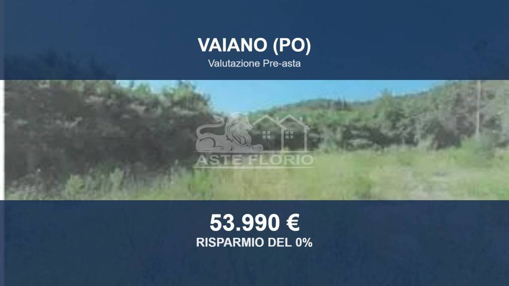 terreno agricolo in vendita a Vaiano