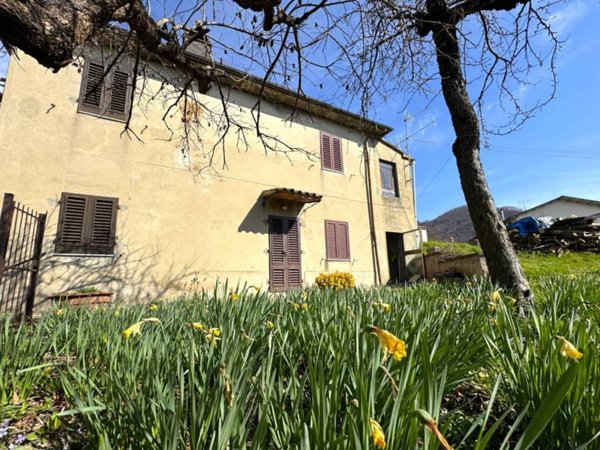 immagine annuncio 0 di 15