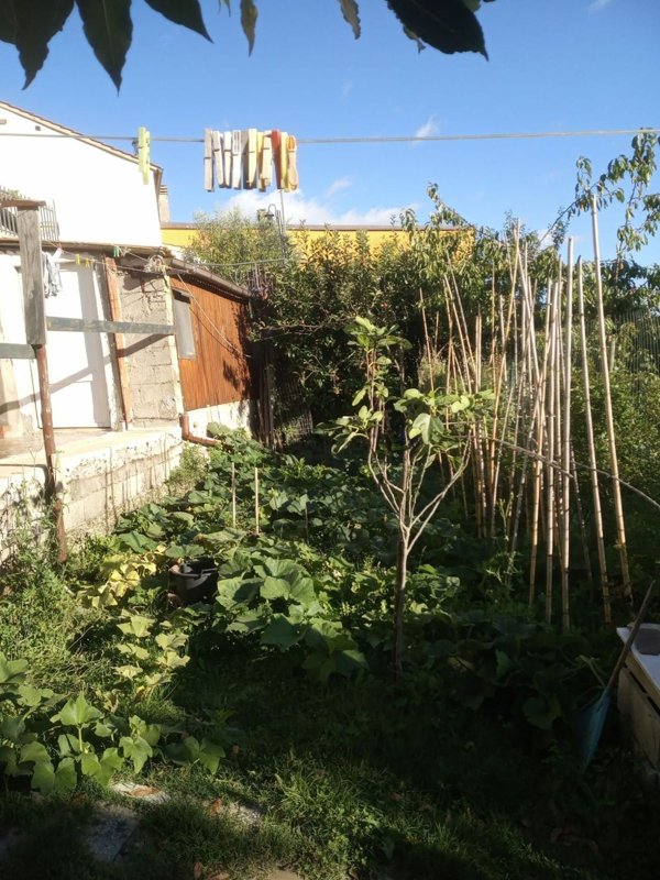 casa indipendente in vendita a Vernio in zona Cavarzano
