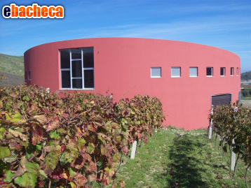 terreno agricolo in vendita a Cirò