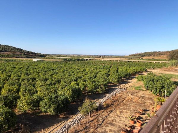 terreno agricolo in vendita a Crotone in zona Apriglianello