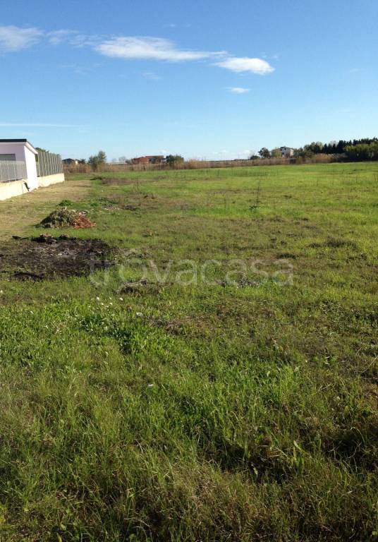terreno agricolo in vendita a Crotone