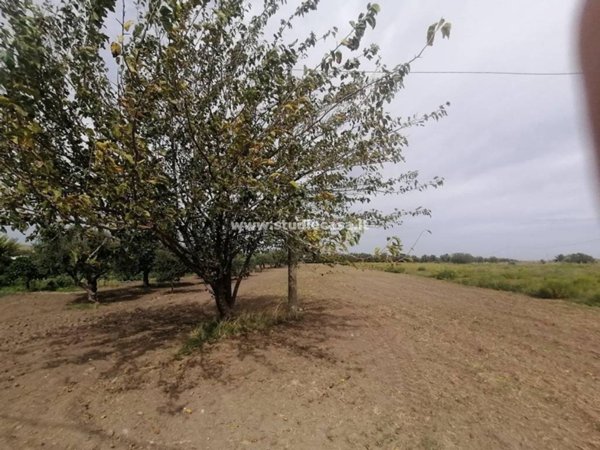 terreno agricolo in vendita a Crotone in zona Gabella Grande