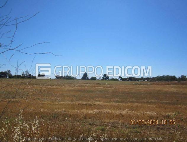 terreno agricolo in vendita a Crotone