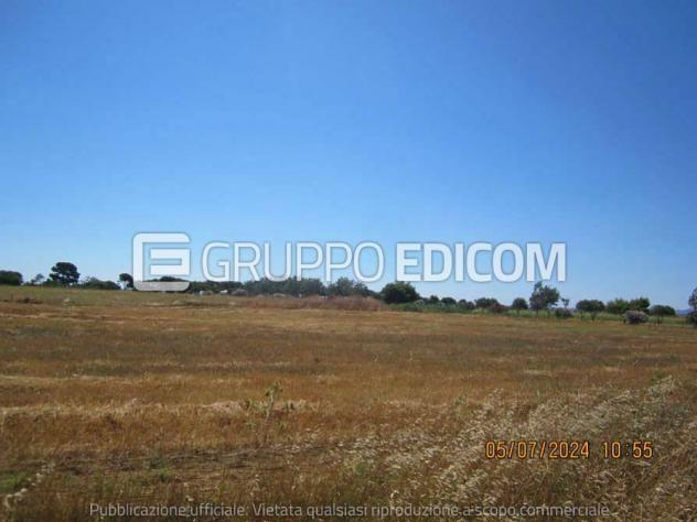 terreno agricolo in vendita a Crotone