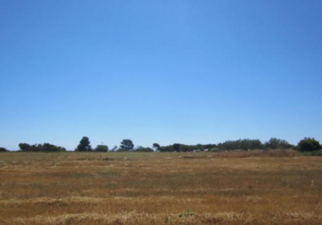 terreno agricolo in vendita a Crotone