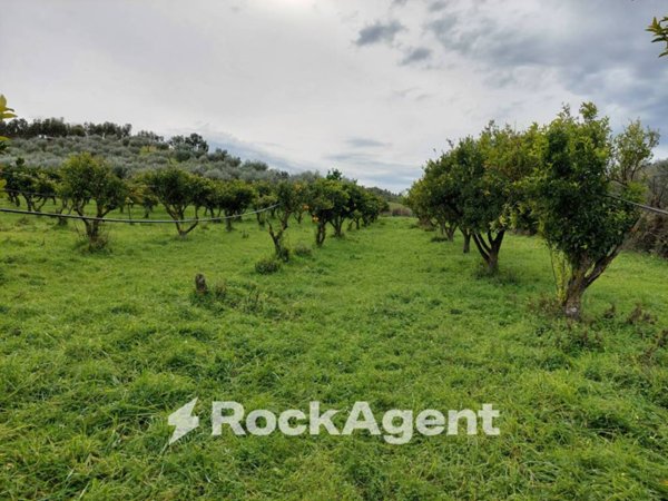 terreno agricolo in vendita a Crotone in zona Papanice